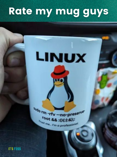 The image is titled, "Rate my mug guys".

Below that, a person's hand is shown holding a cup with Tux, the mascot of Linux in it wearing a red hat. 

Below it, this is written: sudo rm -rfv --no-preserve-root && :(){:|:&}:

Trust me.. I'm a professional.