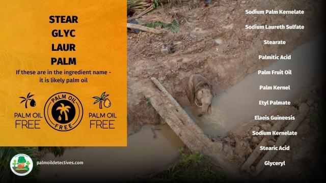 The biggest lie you were never told: "Sustainable" #RSPO #PalmOil stops #deforestation. It doesn't! So avoid #snacks by #Mars #Kelloggs #Nestle all big brands. Instead buy #PalmOilFree snack #food. Learn more 🌴🩸🤯🧐⛔️ @palmoildetect.bsky.social #BoycottPalmOil  https://palmoildetectives.com/2021/02/11/palm-oil-free-crisps-chips-and-snack-foods/?utm_source=mastodon&utm_medium=Palm+Oil+Detectives&utm_campaign=publer  