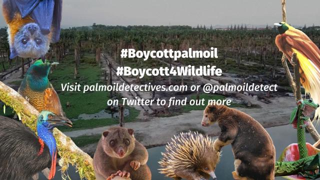 The biggest lie you were never told: "Sustainable" #RSPO #PalmOil stops #deforestation. It doesn't! So avoid #snacks by #Mars #Kelloggs #Nestle all big brands. Instead buy #PalmOilFree snack #food. Learn more 🌴🩸🤯🧐⛔️ @palmoildetect.bsky.social #BoycottPalmOil  https://palmoildetectives.com/2021/02/11/palm-oil-free-crisps-chips-and-snack-foods/?utm_source=mastodon&utm_medium=Palm+Oil+Detectives&utm_campaign=publer  