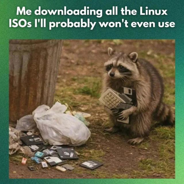Me downloading all the Linux ISOs I'll probably won't even use.

There is a picture of a fluffy raccoon holding on to discarded floppy disks, standing near a pile of garbage and floppy disks. There is also a trash can to the left.