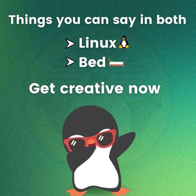 Things you can say in both Linux and Bed. Get creative now.