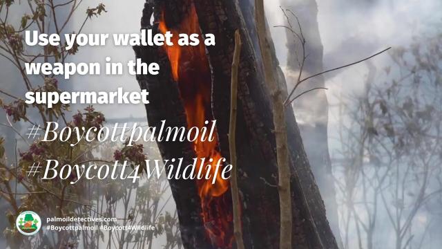 #News: 🚫🌴 Massive rally in Karbi Anglong #Assam India as #indigenous peoples resist corporate #landgrabbing for #palmoil. Communities face displacement and enslavement! Fight back and resist along with them! @palmoildetect #BoycottPalmOil ⛔️ https://www.pratidintime.com/latest-assam-news-breaking-news-assam/karbi-anglong/mass-rally-in-diphu-against-corporate-land-grab-targets-kaac-chief-9681310?utm_source=mastodon&utm_medium=Palm+Oil+Detectives&utm_campaign=publer
