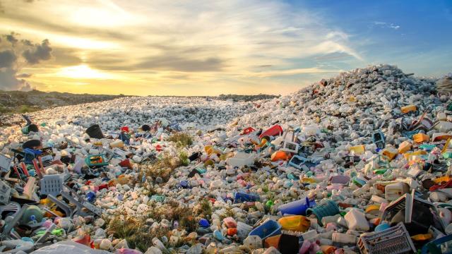 #News: Just like #palmoil #greenwashing, the #plastics lobby’s tricks – delay, deny, distract – keeps single-use waste soaring 🌍.  Consumer pressure and bold international policies can break the cycle. #recycle or death @palmoildetect #ClimateChange https://e360.yale.edu/features/saabira-chaudhuri-interview?utm_source=mastodon&utm_medium=Palm+Oil+Detectives&utm_campaign=publer