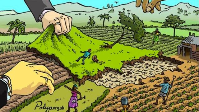 #News: #Cameroon's Apouh villagers protest as #Socapalm expands #palmoil planting on disputed ancestral land 🌴. Tear gas, police, and stalled talks are the weapons used to stall justice. @palmoildetect #BoycottPalmOil #HumanRights https://news.mongabay.com/short-article/2025/09/palm-oil-giant-socapalm-still-planting-on-disputed-land-in-cameroon-as-villagers-seek-redress/?utm_source=mastodon&utm_medium=Palm+Oil+Detectives&utm_campaign=publer
