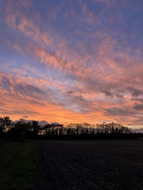 Bare agricultural field blends towards the horizon with a line of trees in penombra, darkened, contrasting with the orange, blue and pink colors of the sky and the clouds right after sunset.