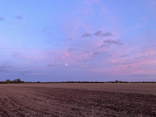 Brown and bare agricultural field extends towards the horizon, where a distant line of trees breaks the  sharp edge with the name light blue sky with softened clouds, among which the Moon shines.