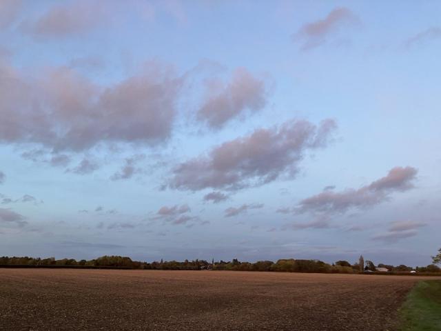 Grey small clouds in succession from left to right, above a bare agricultural field ij light browns of dry vegetation; a line of green are the trees on the horizon.
