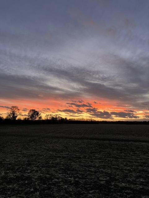 Darkened ground and sky closing onto a still lit horizon in orange and subdued yellow colours.