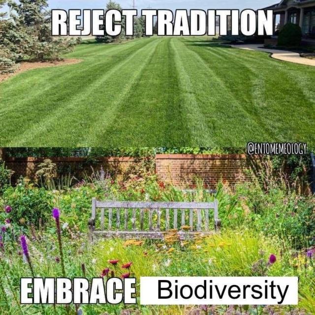 A meme comparing two types of lawns. The top image, with the text "REJECT TRADITION!", shows a large, perfectly manicured green lawn with straight mowing lines. The bottom image, with the text "EMBRACE Biodiversity", shows a lush garden with a wooden bench surrounded by a wide variety of colorful wildflowers and plants.
