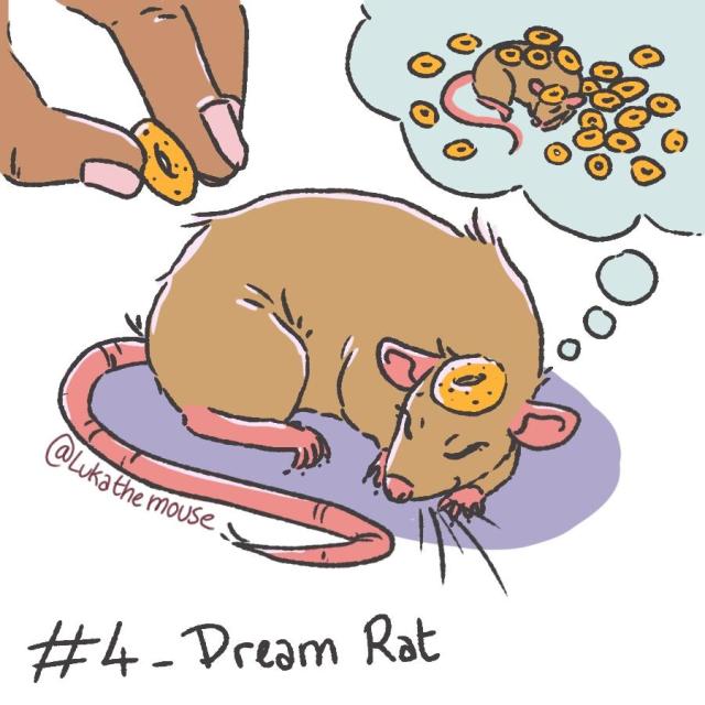 drawing of a rat sleeping curled up, they have a cheerios on top of their head. A human hand is approaching with another cheerios between it's fingers. The rat is dreaming of having many cheerios around and on top of them.