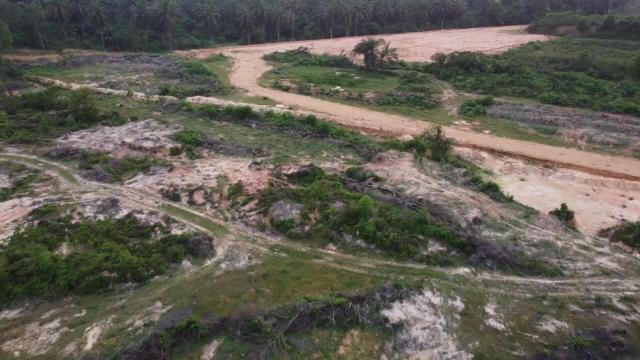 #News: Some #tropical #trees have the ingenious ability to cool their lives to survive heatwaves—but many can’t 🌴🔥. Loss of these species could trigger animal and plant #extinction and risks #climate resilience. #ClimateChange #Boycott4Wildlife https://theconversation.com/some-tropical-trees-cool-their-leaves-to-survive-the-heat-but-not-all-species-have-ways-to-cope-264117?utm_source=mastodon&utm_medium=Palm+Oil+Detectives&utm_campaign=publer
