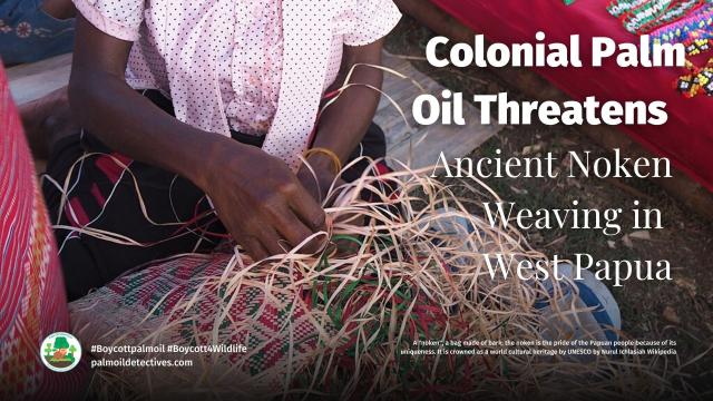 #News: Exhibition highlights vanishing of West Papua’s UNESCO recognised #noken weaving for #palmoil and #sugarcane in #WestPapua. Reject corporate #landgrabbing for palm oil in when you shop! #BoycottPalmOil #HumanRights #IndigenousRights @palmoildetect.bsky.social https://wp.me/pcFhgU-bmj?utm_source=mastodon&utm_medium=Palm+Oil+Detectives&utm_campaign=publer
