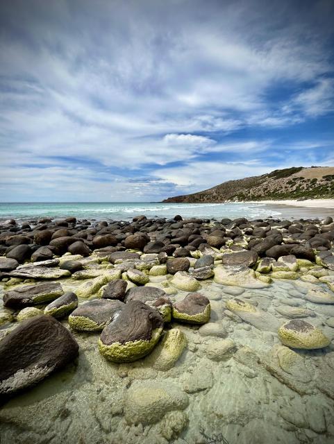 Beach photo with viewpoint from very low  near white sand, behind dozens of roundish, dark boulders, some covered by lichen, the green sea in mid-distance, low sandstone rocks on the right edge, and the sky filled with wispy white clouds. Kangaroo Island, AU