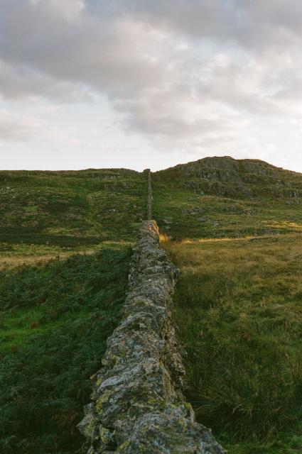 A dry-stone wall extending into the distance, splitting the green landscape into two equal parts. A ray of golden sunlight descends on the middle part.