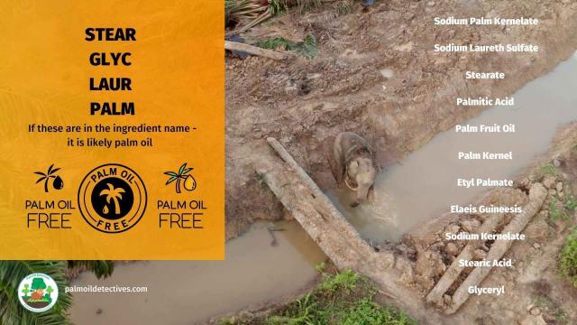 Until big brands stop #deforestation I am going #palmoilfree. I boycott supermarket brands/ #RSPO members destroying #rainforests for #palmoil and other commodities. Join me and #Boycottpalmoil #Boycott4Wildlife @palmoildetect https://palmoildetectives.com/2021/02/11/palm-oil-free-brands/?utm_source=mastodon&utm_medium=Palm+Oil+Detectives&utm_campaign=publer
