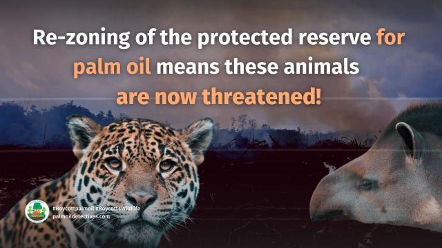 In a protected reserve in #Chiapas #Mexico, government loopholes allow #palmoil #ecocide to continue unchecked. “Sustainable” palm oil is #greenwashing, fight back and #Boycottpalmoil #Boycott4Wildlife in the supermarket via @palmoildetect @Avispa_Midia https://palmoildetectives.com/2024/06/16/palm-oil-greenwashing-poised-to-destroy-protected-biosphere-in-chiapas-mexico/?utm_source=mastodon&utm_medium=Palm+Oil+Detectives&utm_campaign=publer

