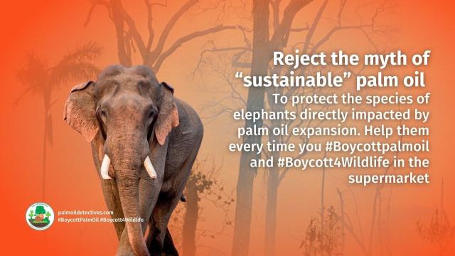 🐘✨ Elephants know each other by name! Exciting new #research reveals African savannah #elephants use unique name-like calls to communicate, showcasing their incredible intelligence, deep social bonds. #Boycottpalmoil #Boycott4Wildlife 🌍💚  @palmoildetect.bsky.social  https://wp.me/pcFhgU-8we?utm_source=mastodon&utm_medium=Palm+Oil+Detectives&utm_campaign=publer  