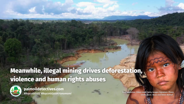 The drive for #mineral #mining in #Amazonia is driving #indigenous peoples and endangered #animals towards #extinction. Help and fight for them when you #BoycottGold4Yanomami #Boycott4Wildlife @palmoildetect @barbaranavarro https://wp.me/pcFhgU-8TF?utm_source=mastodon&utm_medium=Palm+Oil+Detectives&utm_campaign=publer


