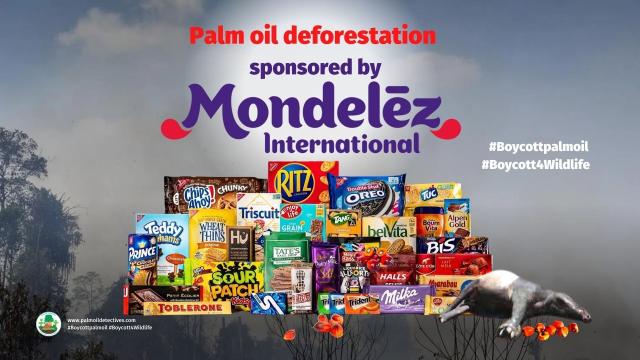 DYK so-called “sustainable” #palmoil is a #greenwashing lie that still causes #deforestation?🤯 Learn how to #Boycottpalmoil #Boycott4Wildlife this #Halloween 🎃👻🪦 Instead enjoy #palmoilfree and #vegan treats and #candy @palmoildetect https://palmoildetectives.com/2023/10/18/halloweens-most-terrifying-tale-palm-oil-greenwashing-and-ecocide-in-your-treats/?utm_source=mastodon&utm_medium=Palm+Oil+Detectives&utm_campaign=publer

