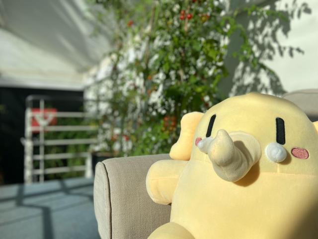 Plushtodon sitting on a couch outside our Oslo office entrance.