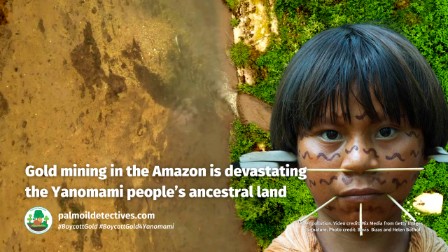 #Gold 🥇🚫 is a controversial commodity because it is unmatched in destruction to #indigenous peoples and #forests. A new study shows how we can end the #ecocide of gold #mining for good! #BoycottGold #BoycottGold4Yanomami @BarbaraNavarro @palmoildetect https://wp.me/pcFhgU-90d?utm_source=mastodon&utm_medium=Palm+Oil+Detectives&utm_campaign=publer