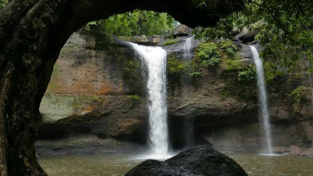 Forests cool the planet 🆒🌳🍃 like natural #aircon. What happens when they're gone? #Deforestation heats local areas as much as 4.5℃. Keep #forests intact for people and rare animals. #Boycottpalmoil #Boycott4Wildlife @palmoildetect @palmoildetect.bsky.social  https://palmoildetectives.com/2022/03/06/deforestation-can-raise-local-temperatures-by-up-to-4-5%e2%84%83-and-heat-untouched-areas-6km-away/?utm_source=mastodon&utm_medium=Palm+Oil+Detectives&utm_campaign=publer   