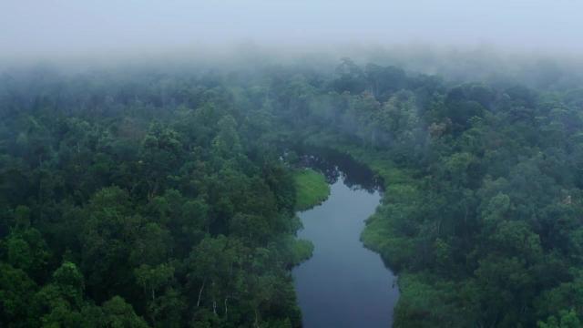 Forests cool the planet 🆒🌳🍃 like natural #aircon. What happens when they're gone? #Deforestation heats local areas as much as 4.5℃. Keep #forests intact for people and rare animals. #Boycottpalmoil #Boycott4Wildlife @palmoildetect @palmoildetect.bsky.social  https://palmoildetectives.com/2022/03/06/deforestation-can-raise-local-temperatures-by-up-to-4-5%e2%84%83-and-heat-untouched-areas-6km-away/?utm_source=mastodon&utm_medium=Palm+Oil+Detectives&utm_campaign=publer   