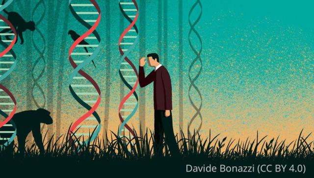 illustration of a person peering at animal silhouettes through a forest of DNA helices