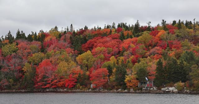 A small shed with grey shingles sits along the rocky shoreline of a lake along a rural road. The hill above the shed is covered in trees with a mix of dark evergreens and other trees in vibrant reds, orange, and gold. 