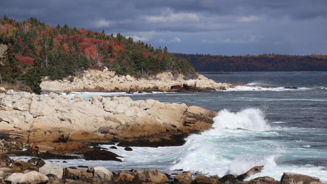 Waves crash up on the rocky shoreline along a rural road. In the background to the left is a forested area of evergreens and autumn trees in red, orange, and gold. The sky is dark with fluffy clouds but rays of sun shine on the dry beige rocks while blue and white waves crash onto the black rocks at the sea's edge.