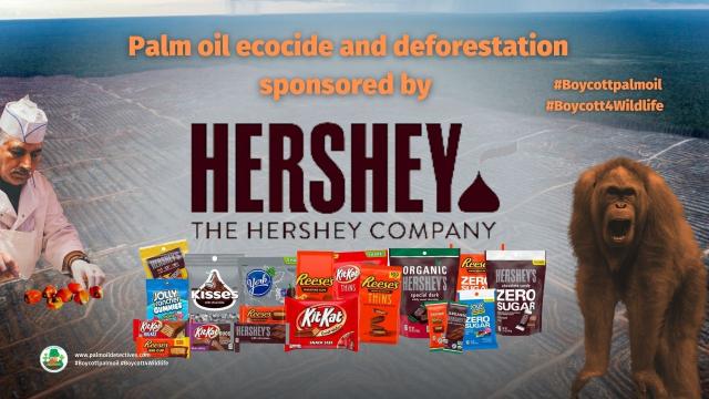 What is #Halloween’s most terrifying tale? #Palmoil #greenwashing 🧐💰🤑👿 #ecocide contained in your favourite #chocolate ☠️🌴🪔☠️ and #candy! Take action for #wildlife when you #Boycottpalmoil #Boycott4Wildlife @palmoildetect https://palmoildetectives.com/2023/10/18/halloweens-most-terrifying-tale-palm-oil-greenwashing-and-ecocide-in-your-treats/?utm_source=mastodon&utm_medium=Palm+Oil+Detectives&utm_campaign=publer

