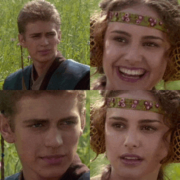 "Star Wars Anakin Liar" meme image.