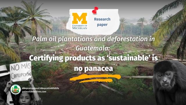 So-called “sustainable” #palmoil certified by #RSPO originating in #Guatemala 🇬🇹 is strongly connected to #deforestation and #ecocide finds @UMich study. Help #rainforests and fight #extinction #Boycottpalmoil #Boycott4Wildlife 🌴🪔🔥☠️🚫 @palmoildetect https://palmoildetectives.com/2023/07/26/palm-oil-deforestation-in-guatemala-certifying-products-as-sustainable-is-no-panacea-university-of-michigan/?utm_source=mastodon&utm_medium=Palm+Oil+Detectives&utm_campaign=publer

