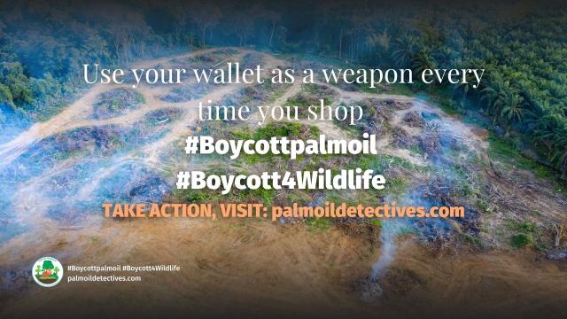 So-called “sustainable” #palmoil certified by #RSPO originating in #Guatemala 🇬🇹 is strongly connected to #deforestation and #ecocide finds @UMich study. Help #rainforests and fight #extinction #Boycottpalmoil #Boycott4Wildlife 🌴🪔🔥☠️🚫 @palmoildetect https://palmoildetectives.com/2023/07/26/palm-oil-deforestation-in-guatemala-certifying-products-as-sustainable-is-no-panacea-university-of-michigan/?utm_source=mastodon&utm_medium=Palm+Oil+Detectives&utm_campaign=publer

