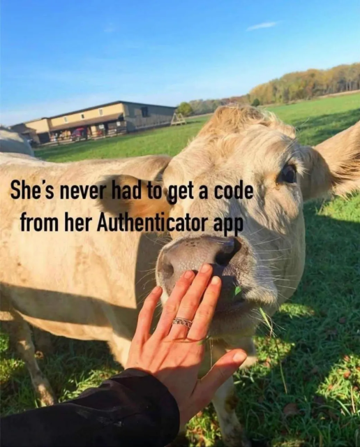 Meme description:
A hand reaches out touching a cow on the snout with overlaid text that says, "She's never had to get a code from her Authenticator app".

Full photo description:
A photo from a first person point-of-view, with the left hand reaching out and touching a beautiful white cow on the snout. They are in the middle of a green field on a beautiful sunny day with a building and woods in the background.