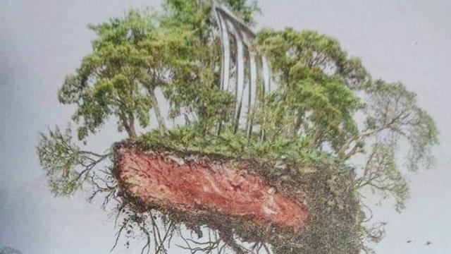 #News: #JBS, the world's biggest #meat co, is linked to illegal ranches destroying the #Amazon and #Indigenous lands. Tainted beef may be in the EU! We need a strong #EUDR. Be #Vegan for forests and #HumanRights. 🤮🔥 #Deforestation #ClimateChange https://www.hrw.org/news/2025/10/15/brazil-illegal-ranches-devastate-rainforest-livelihoods?utm_source=mastodon&utm_medium=Palm+Oil+Detectives&utm_campaign=publer
