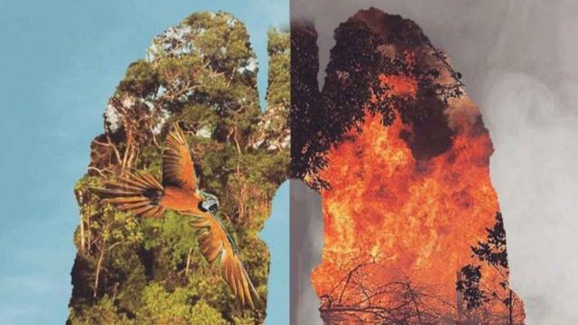 #News: #JBS, the world's biggest #meat co, is linked to illegal ranches destroying the #Amazon and #Indigenous lands. Tainted beef may be in the EU! We need a strong #EUDR. Be #Vegan for forests and #HumanRights. 🤮🔥 #Deforestation #ClimateChange https://www.hrw.org/news/2025/10/15/brazil-illegal-ranches-devastate-rainforest-livelihoods?utm_source=mastodon&utm_medium=Palm+Oil+Detectives&utm_campaign=publer
