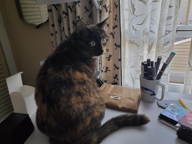 Minerva, a tortoiseshell cat, sitting on my art desk with an air of ownership.