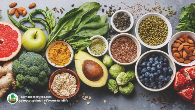 Happy #WorldVeganDay! Corporate control over global #food #supplychain harms all, causes #hunger #poverty. Learn about #corporate power grabs behind #supermarket items🥩 🥓🌴🚫 #Boycottpalmoil and be #vegan for the animals and ur #health! @palmoildetect https://wp.me/pcFhgU-8UV?utm_source=mastodon&utm_medium=Palm+Oil+Detectives&utm_campaign=publer
