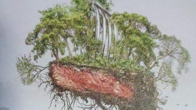 Happy #WorldVeganDay! Corporate control over global #food #supplychain harms all, causes #hunger #poverty. Learn about #corporate power grabs behind #supermarket items🥩 🥓🌴🚫 #Boycottpalmoil and be #vegan for the animals and ur #health! @palmoildetect https://wp.me/pcFhgU-8UV?utm_source=mastodon&utm_medium=Palm+Oil+Detectives&utm_campaign=publer
