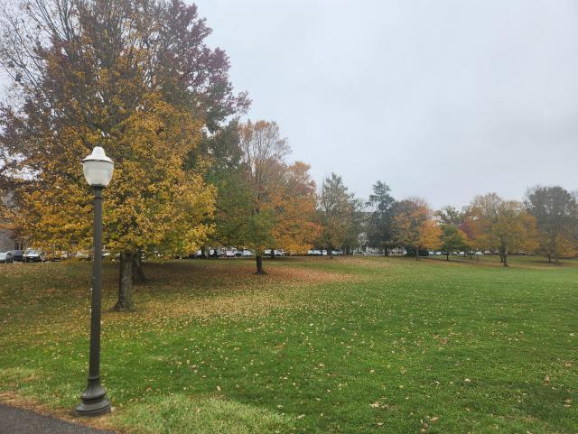 View of a green field covered in yellow leaves with yellow trees around the back. A lamp post sits in the foreground near a paved trail.