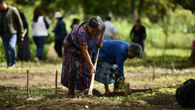 Guide by @Grain_org and @WorldRainforest about #palmoil #landgrabbing to assist communities to combat the #violence and coercion in the name of so-called "sustainable" #palmoil Resist for them! #Boycottpalmoil 🌴🩸☠️⛔️ #Boycott4Wildlife @palmoildetect https://palmoildetectives.com/2022/01/10/promise-divide-intimidate-and-coerce-12-tactics-used-by-palm-oil-companies-intent-on-land-grabbing/?utm_source=mastodon&utm_medium=Palm+Oil+Detectives&utm_campaign=publer