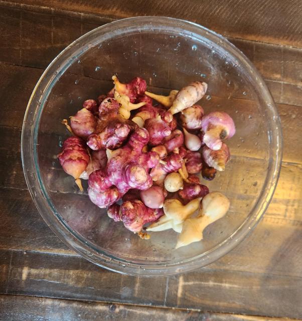 Reddish tubers in a glass bowl