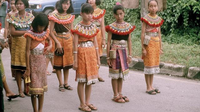 #News: #Sarawak authorities are blocking a #humanrights investigation into timber and #palmoil on #indigenous #Penan land! Communities fight to protect their forests from palm oil, #timber giants, a violation of rights! @palmoildetect #BoycottPalmOil 🤮 https://thesun.my/malaysia-news/sarawak-warns-suhakam-probe-may-affect-penan-court-case-FG15027507?utm_source=mastodon&utm_medium=Palm+Oil+Detectives&utm_campaign=publer