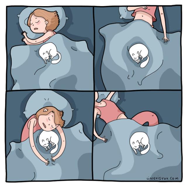 sleeping with cat