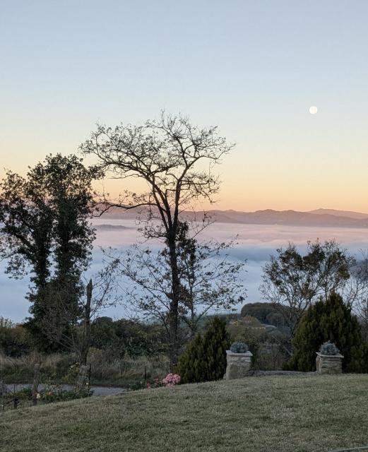 The full moon hangs over the coloring sky. A bank of fog covers the valley below, taking on the pastel colors of the sky at sunrise. 