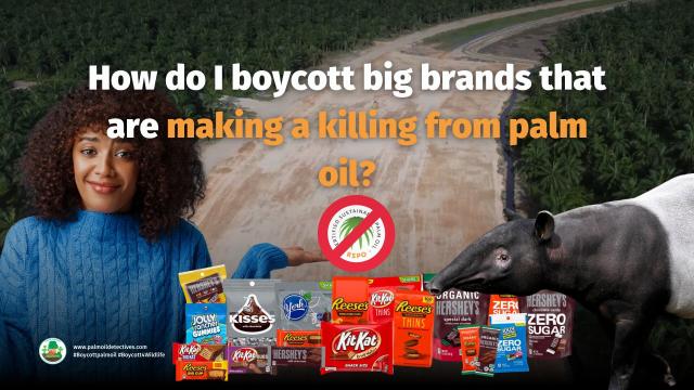 #Mondelez @MDLZ uses "sustainable" #palmoil from #RSPO yet the continue with #palmoil  #deforestation #humanrights abuses and ecocide. Resist greenwashing when you shop and #Boycottpalmoil #Boycott4Wildlife @palmoildetect.bsky.social https://wp.me/scFhgU-mondelez?utm_source=mastodon&utm_medium=Palm+Oil+Detectives&utm_campaign=publer 