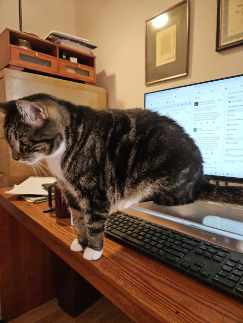 The keyboard in front of the computer monitor has a clear acrylic shelf over it to keep the cat off the keys. A tabby cat is sitting with his back feet and butt on the shelf, his front feet on the desk in front of it. There are two framed items on the wall and a small cabinet atop a metal filing cabinet in the background.