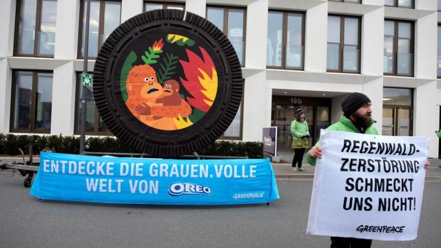 #News: #UN Special Rapporteur warns environmental defenders face persecution worldwide, criminalisation, imprisonment and violence. Legal protection is urgently needed! 🧐⚠️ Protect #HumanRights and Protect the #Defenders! @palmoildetect #COP30 
https://www.business-humanrights.org/en/latest-news/un-special-rapporteur-documents-complaints-and-regional-threats-against-environmental-defenders-under-the-aarhus-convention/?utm_source=mastodon&utm_medium=Palm+Oil+Detectives&utm_campaign=publer
