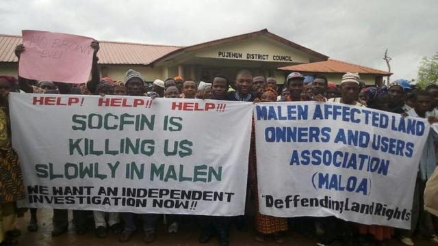 #News: #UN Special Rapporteur warns environmental defenders face persecution worldwide, criminalisation, imprisonment and violence. Legal protection is urgently needed! 🧐⚠️ Protect #HumanRights and Protect the #Defenders! @palmoildetect #COP30 
https://www.business-humanrights.org/en/latest-news/un-special-rapporteur-documents-complaints-and-regional-threats-against-environmental-defenders-under-the-aarhus-convention/?utm_source=mastodon&utm_medium=Palm+Oil+Detectives&utm_campaign=publer
